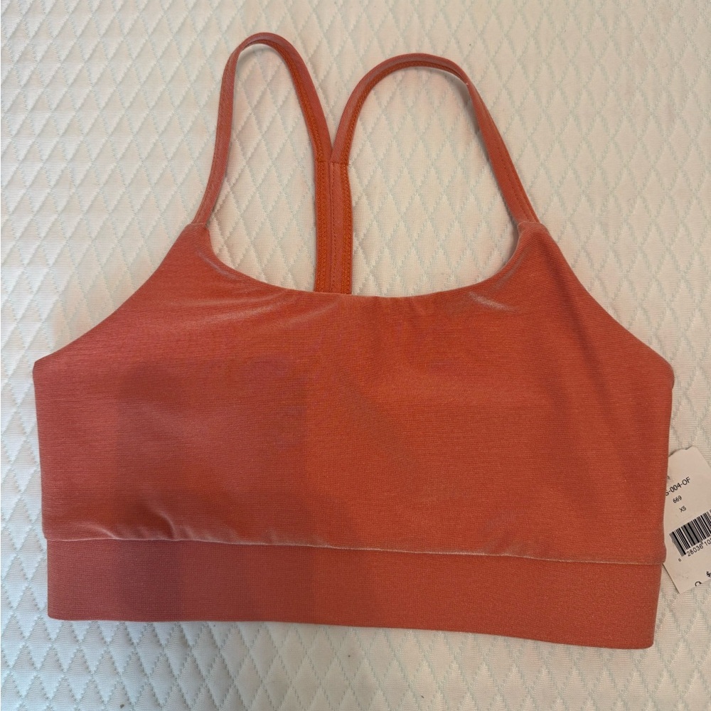 NWT Twenty Montreal Bra Crop Top Size XS